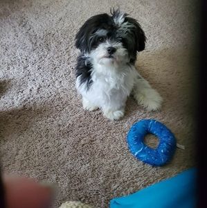 Meet your Posher, Anne